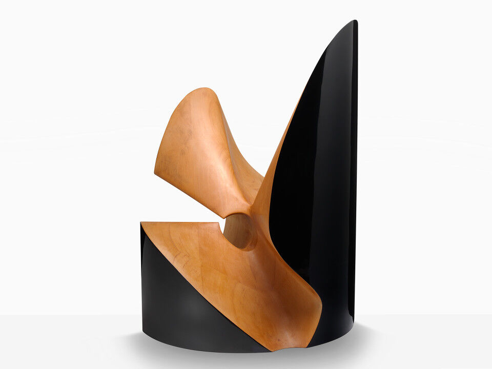 toshimasa kikuchi 0001