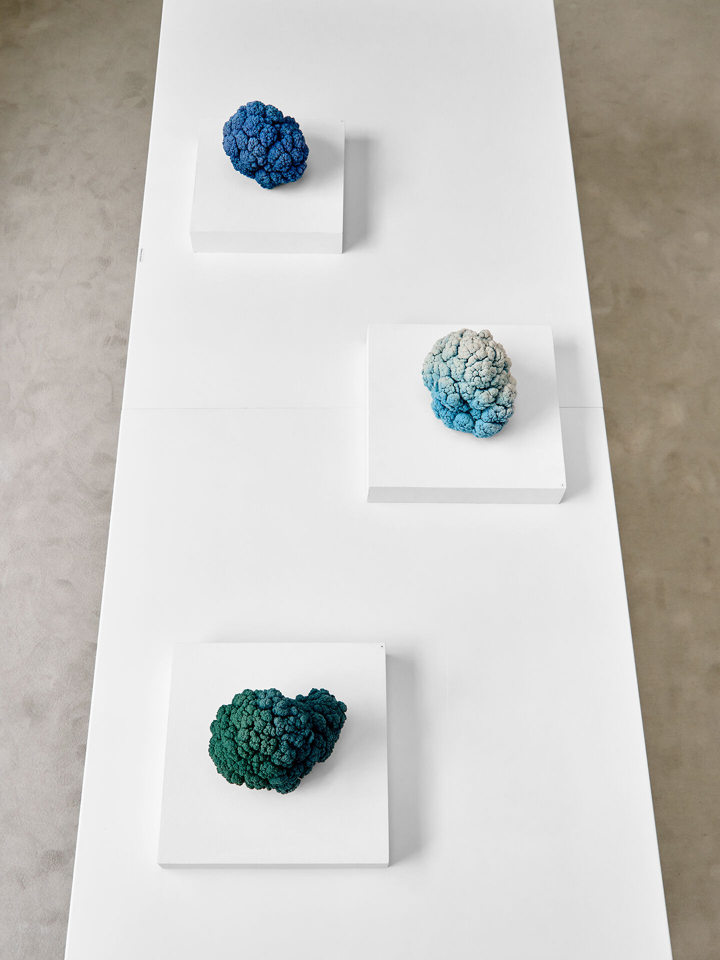 Installation shot 10 v2