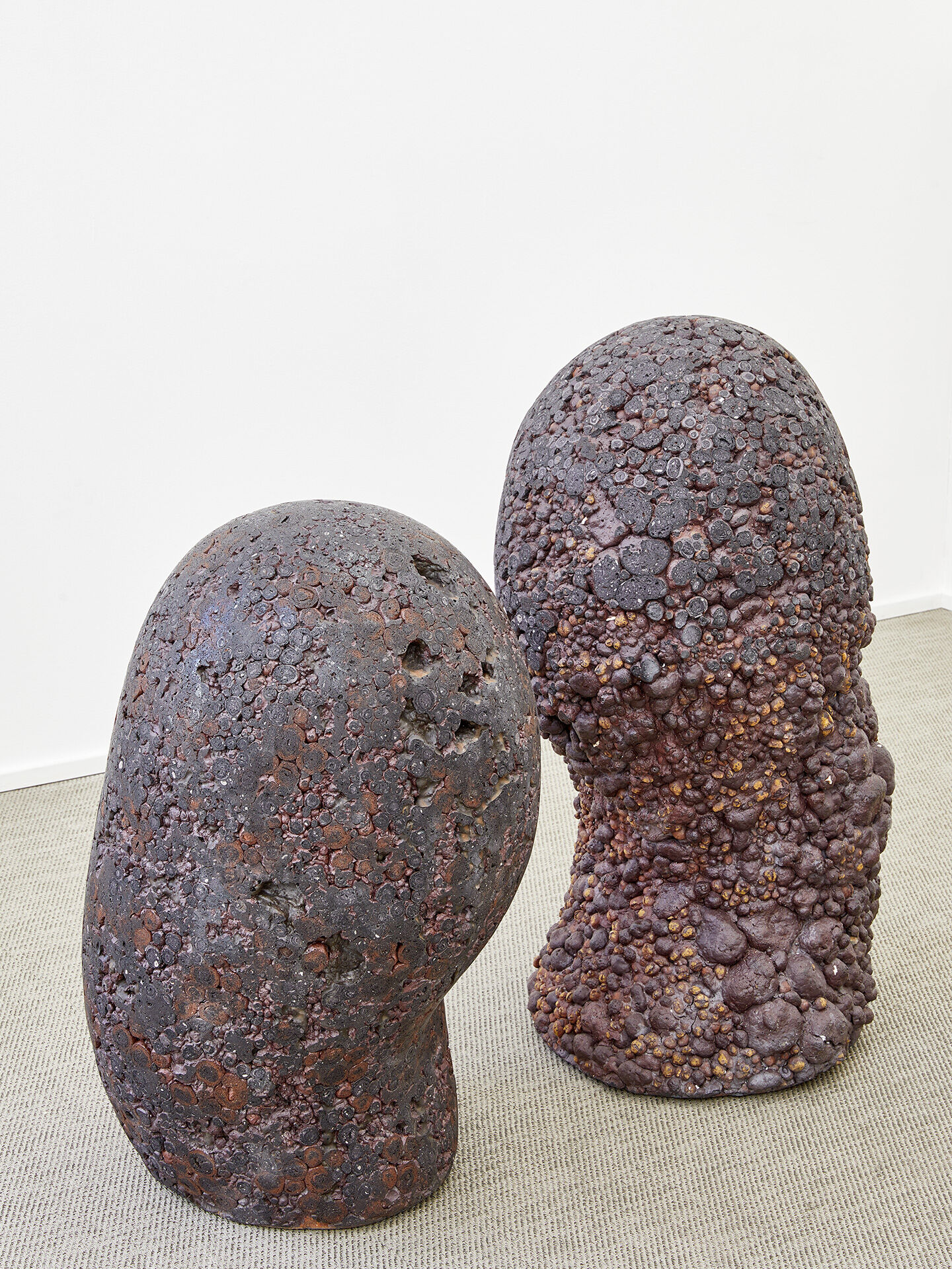 claudi casanovas 2017 10