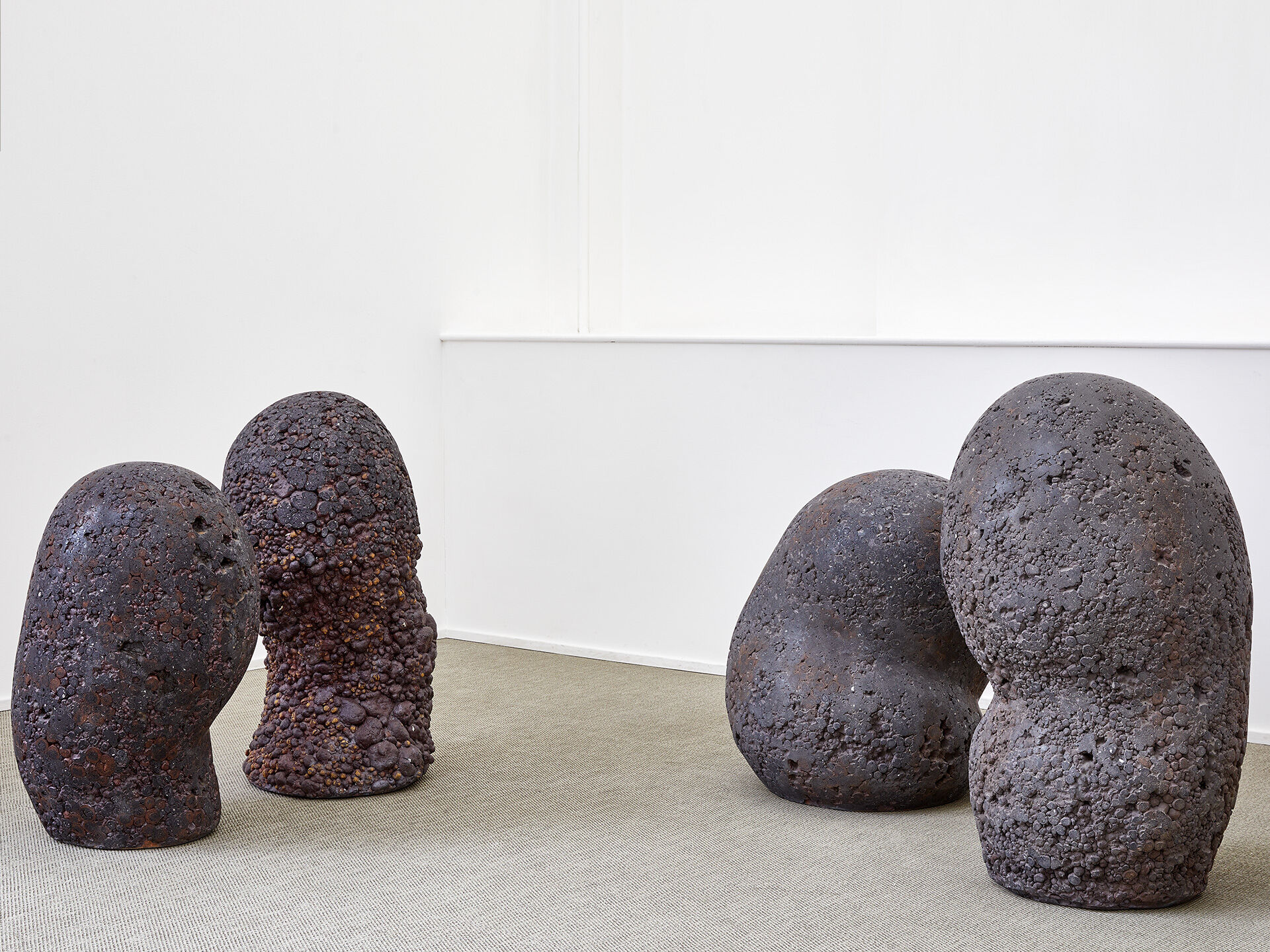 claudi casanovas 2017 16