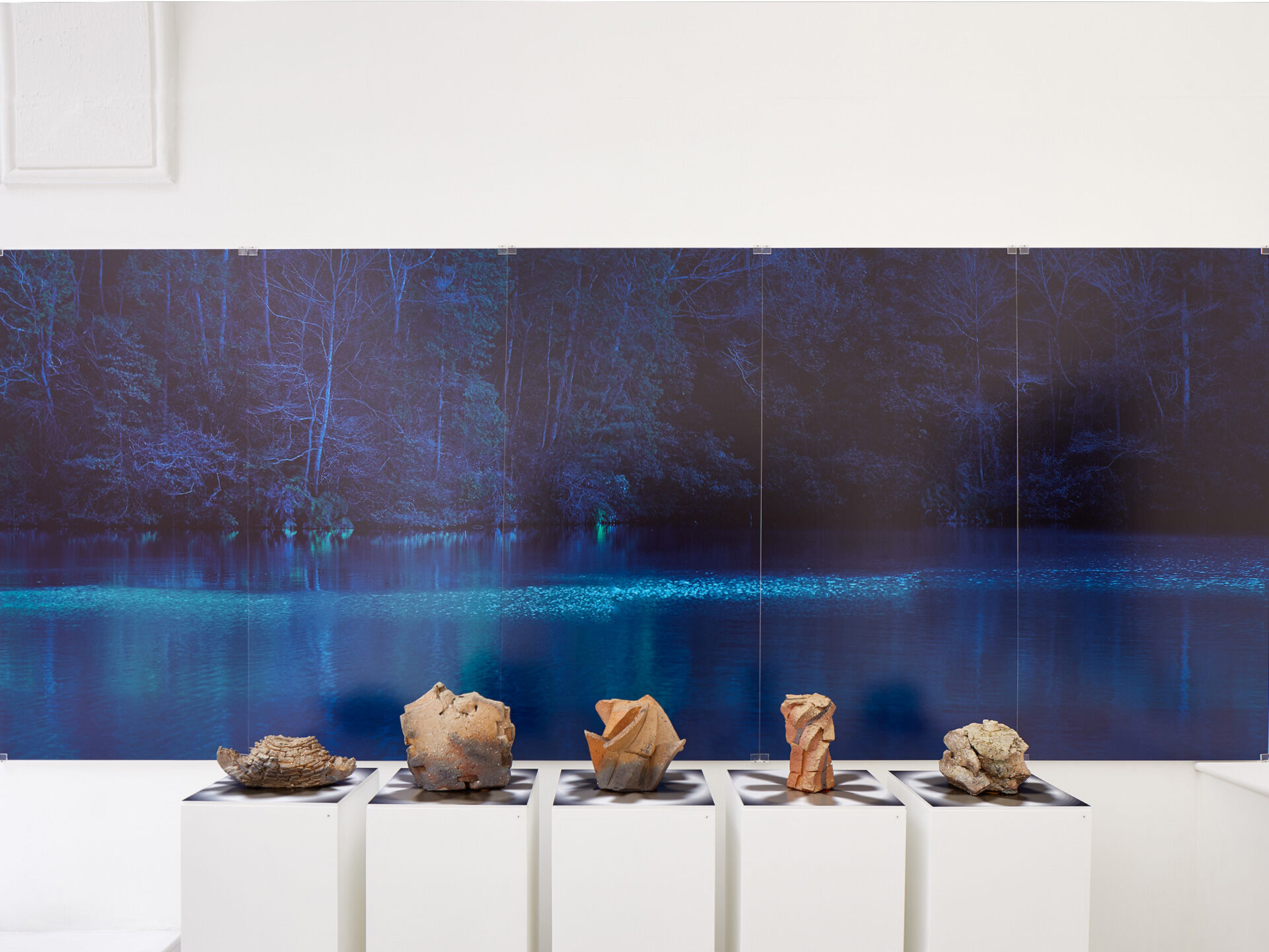 shozo michikawa 2017 exhibition 06